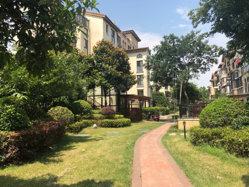 阿卡迪亚(一区)