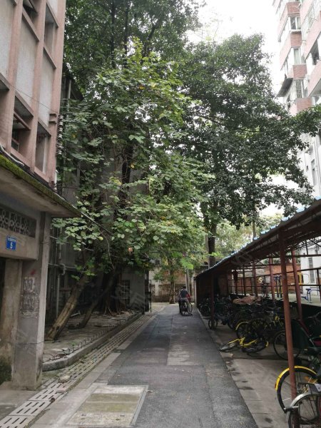 员村四横路1号大院