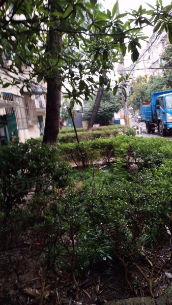 思浦路14弄小区 