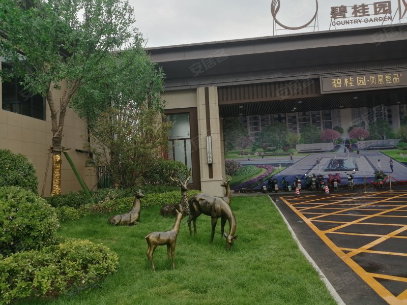 碧桂园凤凰壹品,凤凰北路-济南碧桂园凤凰壹品二手房,租房,房价-济南