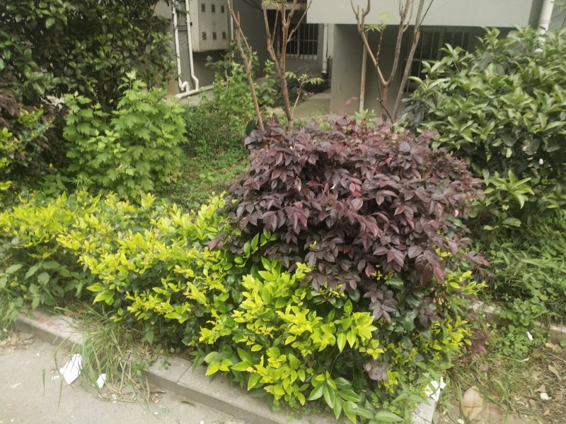 碧溪花园,康乐路,近花园路-马鞍山碧溪花园二手房,租房,房价-马鞍山