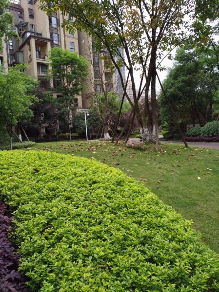中交丽景香漫岭