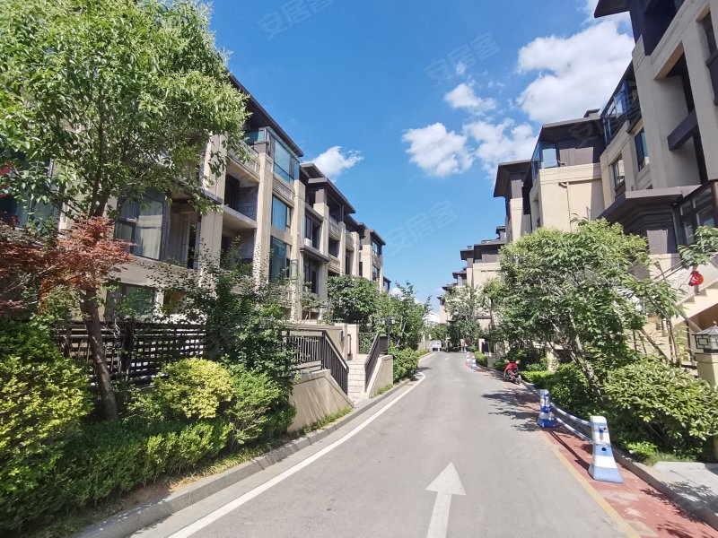 国悦府(别墅),环山路-泰安国悦府(别墅)二手房,租房,房价-泰安安居客
