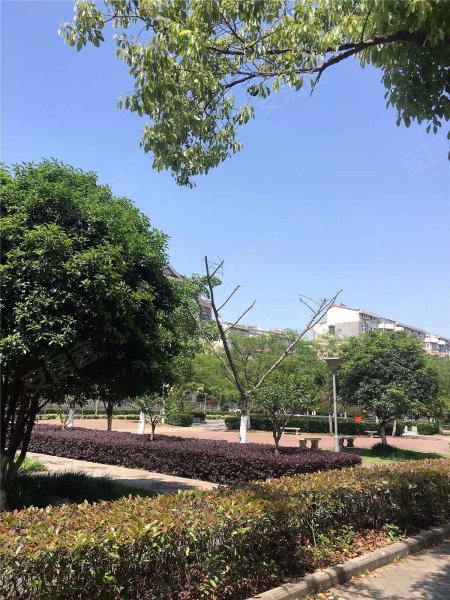 梅苑小区,泰山南路-南京梅苑小区二手房,租房,房价-南京安居客