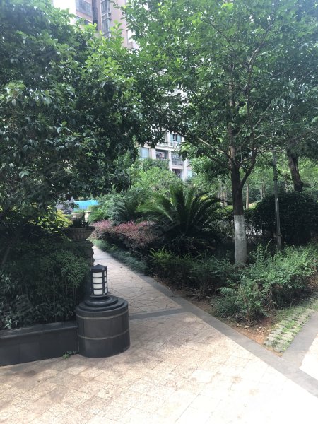 鑫远湘府华城(北区,新韶东路168号-长沙鑫远湘府华城(北区)二手房