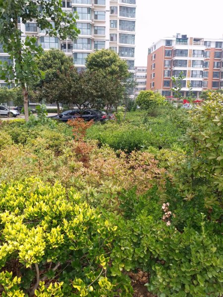 泰和花园(东区),涑河北街-临沂泰和花园(东区)二手房,租房,房价-临沂