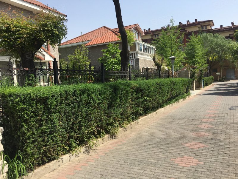 龙城花园(中五区)