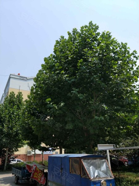 润景园,皇营路-济宁润景园二手房,租房,房价-济宁安居客