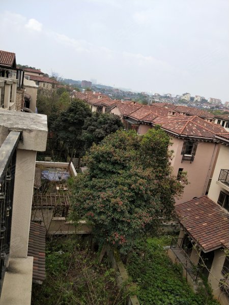 水映加州(别墅),太阳山路688号-长沙水映加州(别墅)二手房,租房,房价