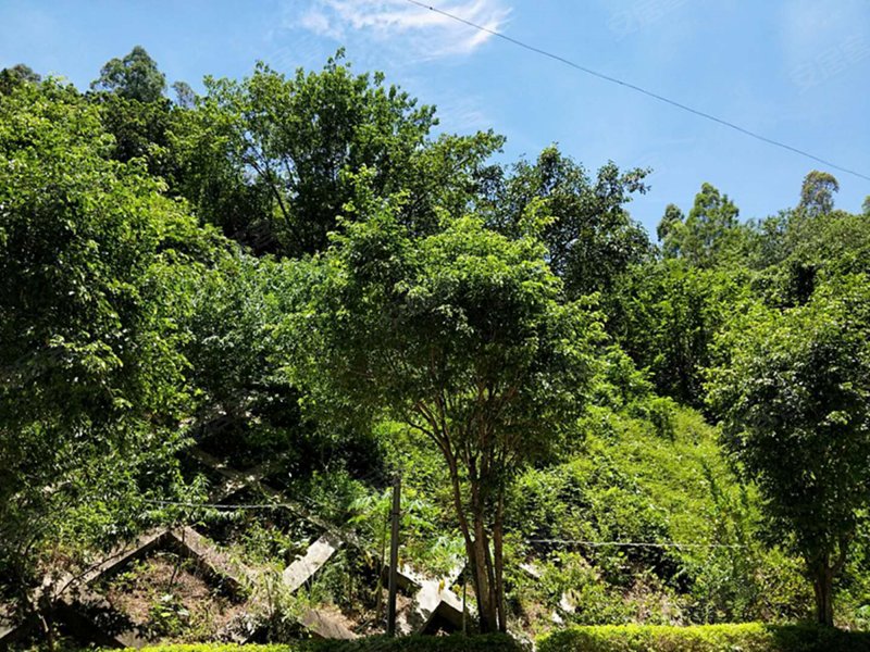 兴合坊,共联路-惠州兴合坊二手房,租房,房价-惠州安居客