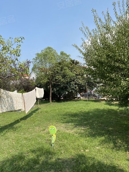 天兴洲绿岛小区