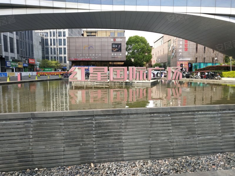 红星国际广场(闵行) 
