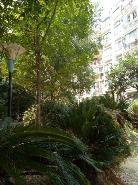 碧海云天,湖滨东路69号-南昌碧海云天二手房,租房,房价-南昌安居客