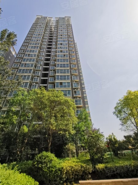 中央名邸,建设路-永城中央名邸二手房,租房,房价-永城安居客