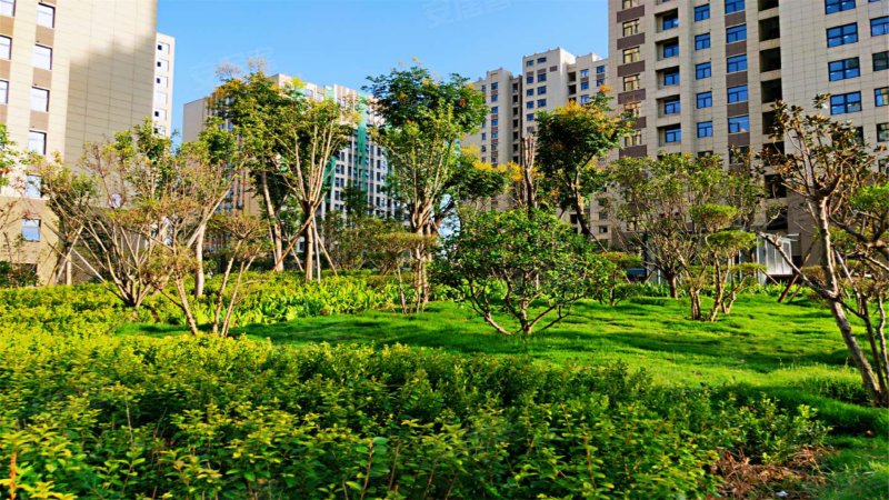 润丰新尚(商住楼)