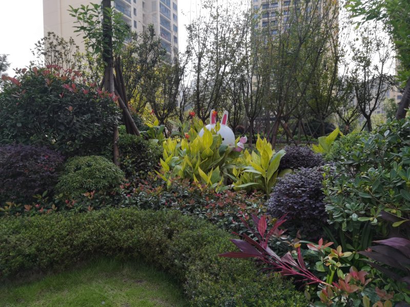 晶泽w公馆,汇南路-自贡晶泽w公馆二手房,租房,房价-自贡安居客