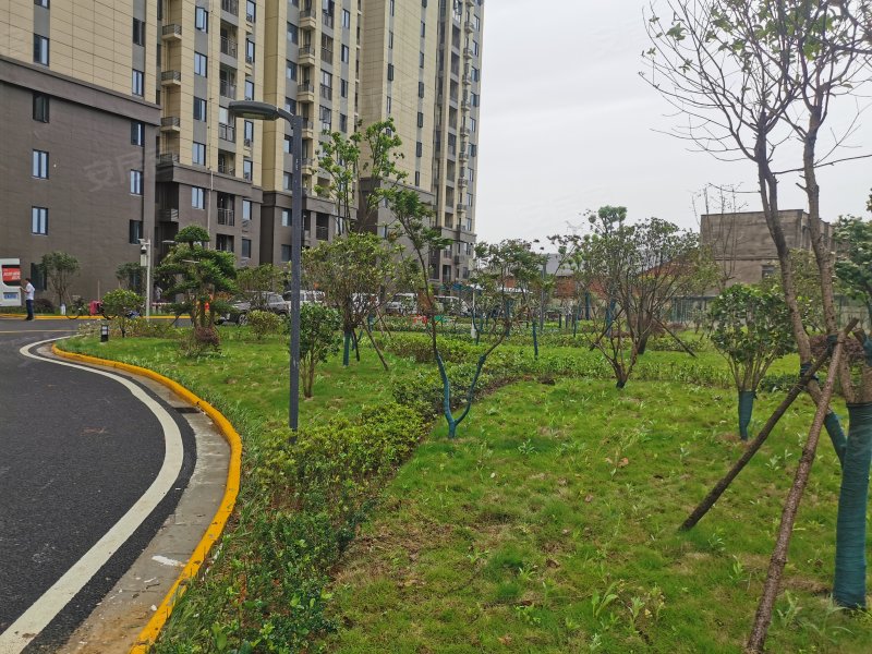 杨春湖景苑二期,友谊大道-武汉杨春湖景苑二期二手房,租房,房价-武汉