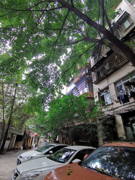 燃灯寺东街30号院