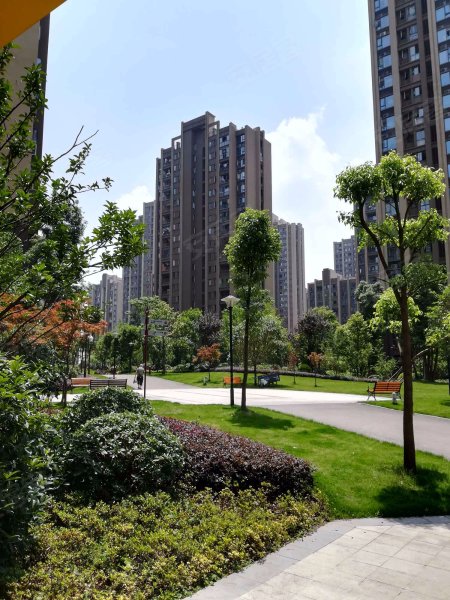 中庚城f组团,云屏路11号-重庆中庚城f组团二手房,租房,房价-重庆安居