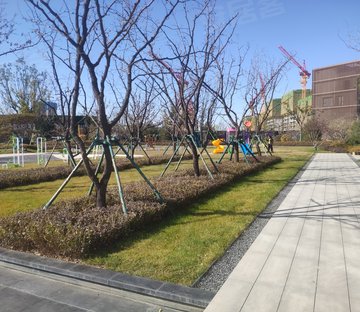 雅居乐国际花园