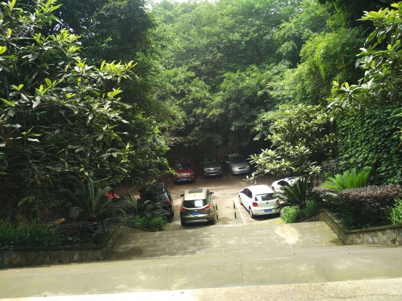 港城花园,小龙坎正街339号-重庆港城花园二手房,租房,房价-重庆安居客