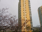 洛阳路小区图片