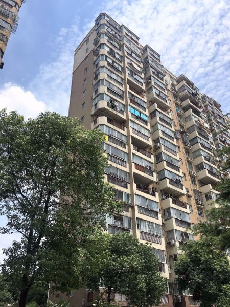 环绿国际(公寓住宅)