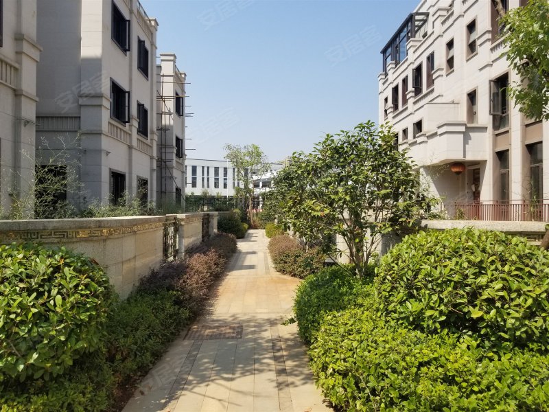 明园九龙湾(别墅)