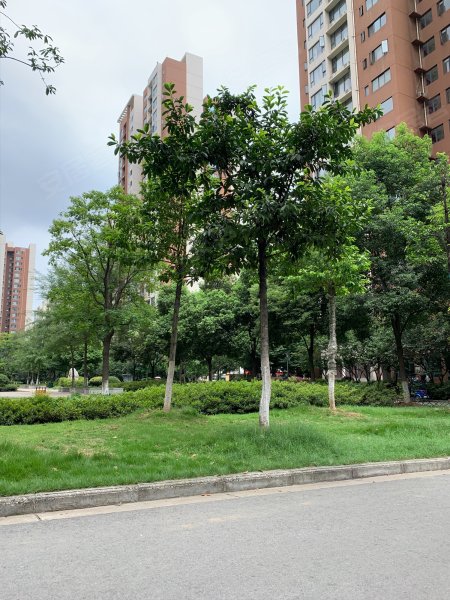 民发世界城汇景园