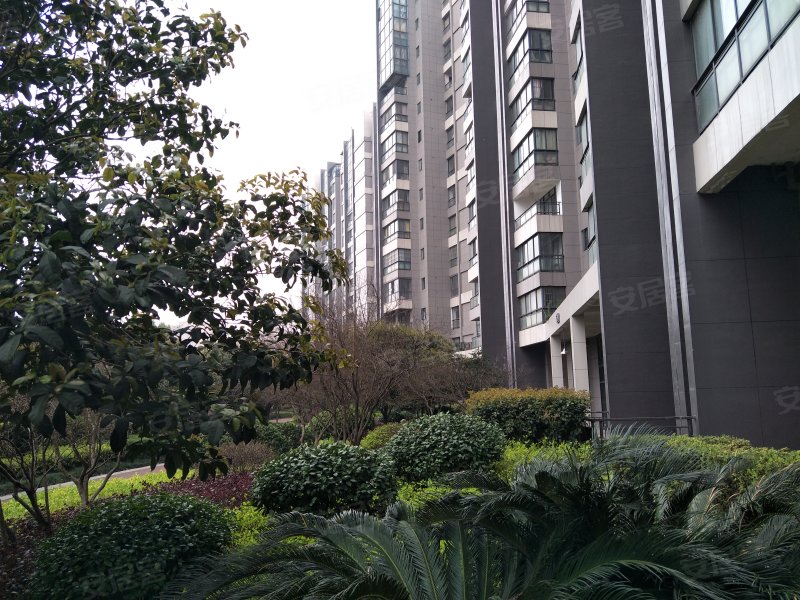 中信新城