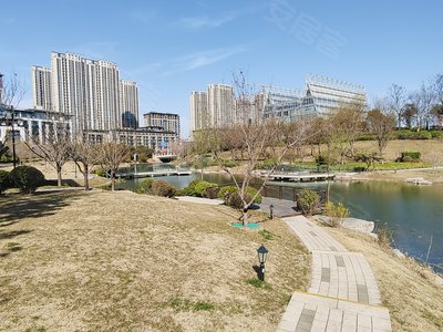碧源月湖瑞园,文化北路,近北四环 - 郑州碧源月湖瑞园二手房,租房