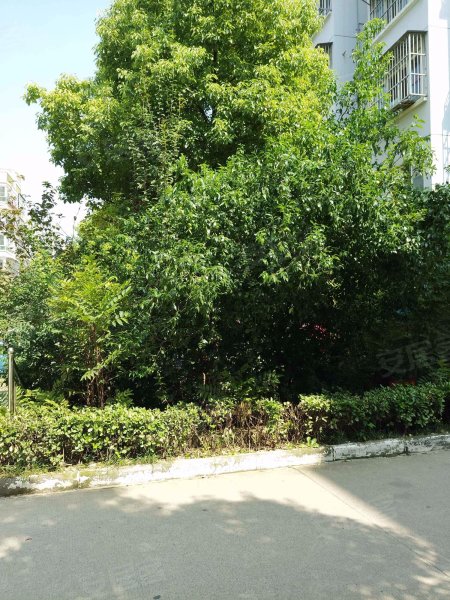 碧水湾(南区),泉新路,翟北路-徐州碧水湾(南区)二手房,租房,房价-徐州