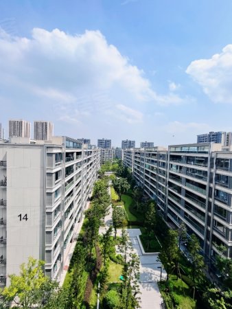 龙湖香港置地学樘府(一期)4室2厅2卫130.63㎡东北210万