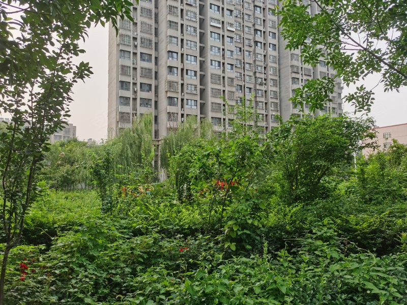 双湖锦苑(一期)