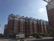 陈咀镇小区图片