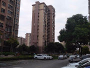 正南朝向 居住密度低 有电梯 满五 临地铁,东锦苑二手房,250万,1室1厅