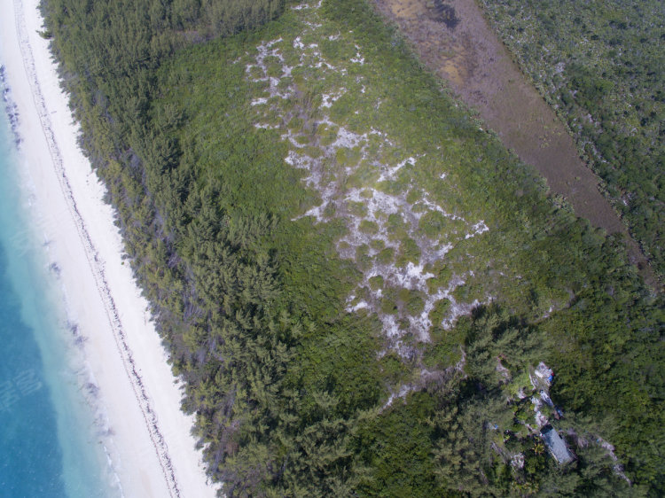 巴哈马约¥6463万80英亩 海滩土地二手房商铺图片