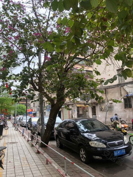 寰儒大厦,北桥路3号-湛江寰儒大厦二手房,租房,房价-湛江安居客