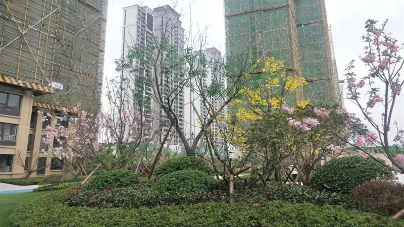 长投正荣府,汉江北路,近台子湾路-襄阳长投正荣府二手房,租房,房价