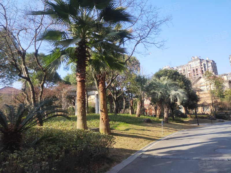 蓝湾国际花园(别墅),华龙南街1008号-金华蓝湾国际花园(别墅)二手房