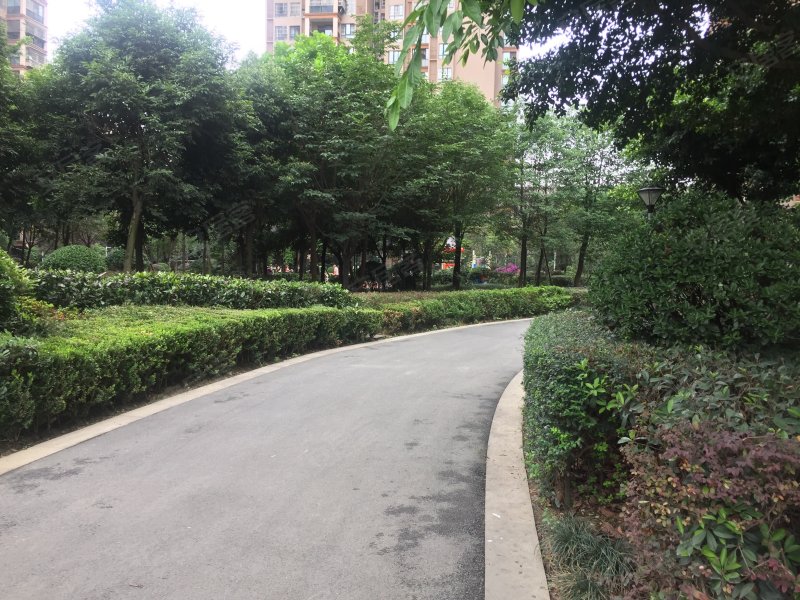 锦城逸景b区,锦丰三路28号-成都锦城逸景b区二手房,租房,房价-成都