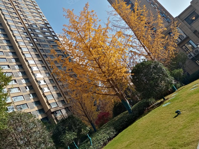 宏运海河湾,高新大道169号-宝鸡宏运海河湾二手房,租房,房价-宝鸡安居