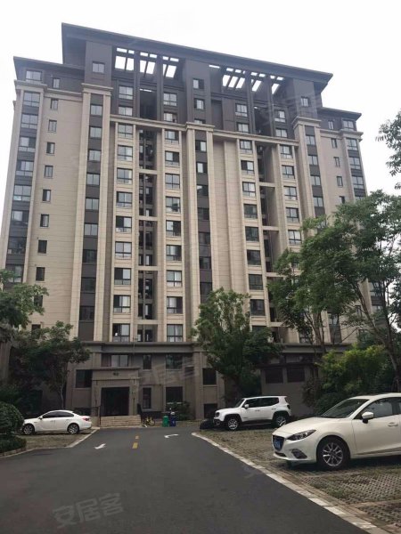 河畔艺墅(公寓住宅) 