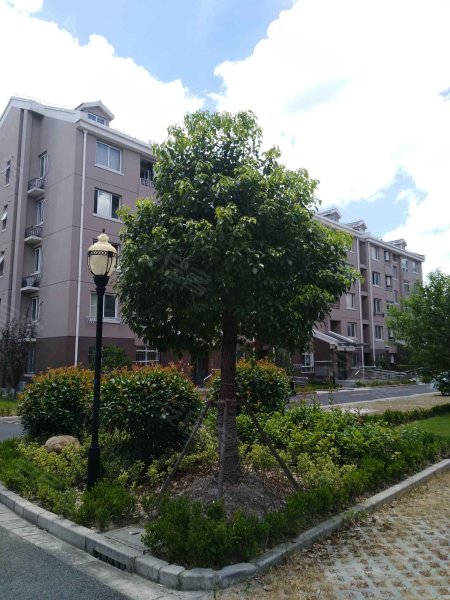 宝铭浦秀苑,浦秀路750弄-上海宝铭浦秀苑二手房,租房,房价-上海安居客