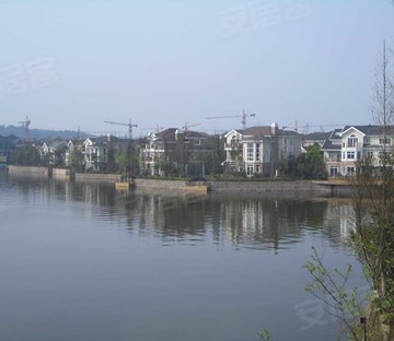 蓝湖郡联排别墅 装修花费三百多  地下室全采光 带前后花园