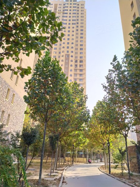 东湖印象,长城北大街1111号-保定东湖印象二手房,租房,房价-保定安居