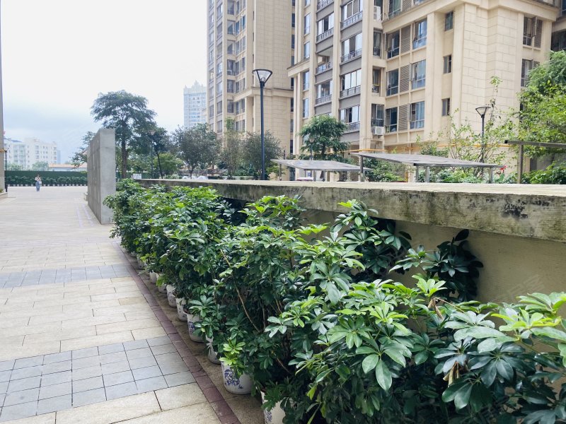 花果园中山公馆