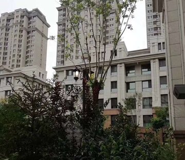 天成一品一期(天成轩)