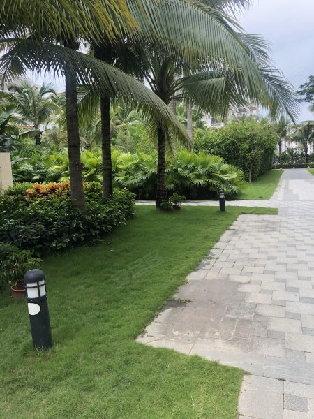 凤凰苑,工业园路-三亚凤凰苑二手房,租房,房价-三亚安居客