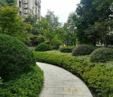 碧桂园天誉华府